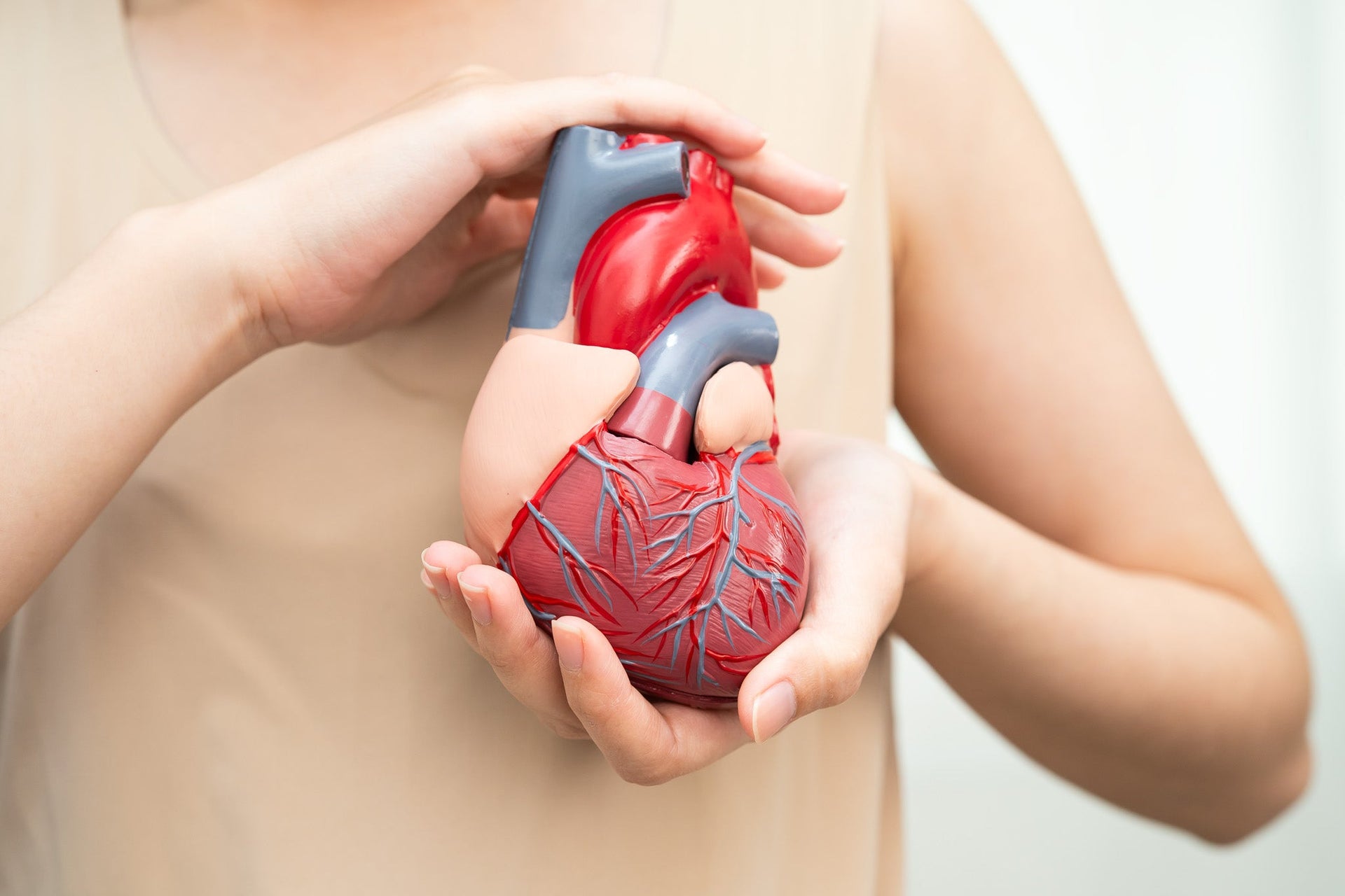 Heart & Circulation